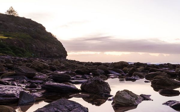 Icon Cancer Centre in Revesby