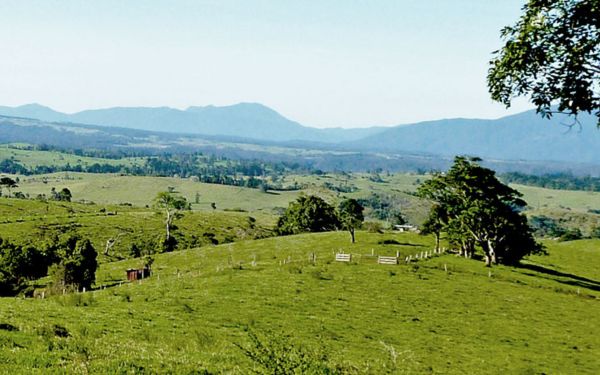 Icon Cancer Centre in Springfield