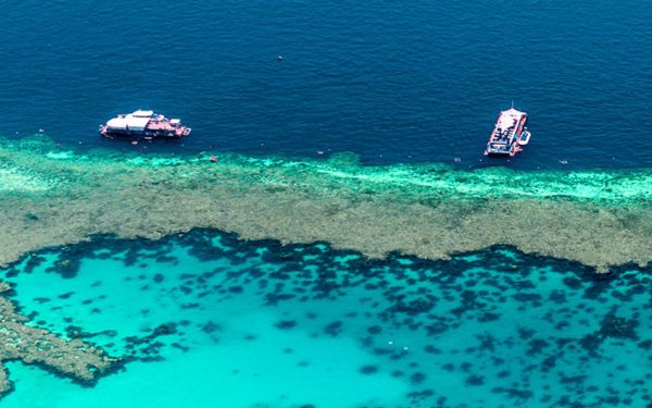 Icon Cancer Centre in Cairns (Liz Plummer)