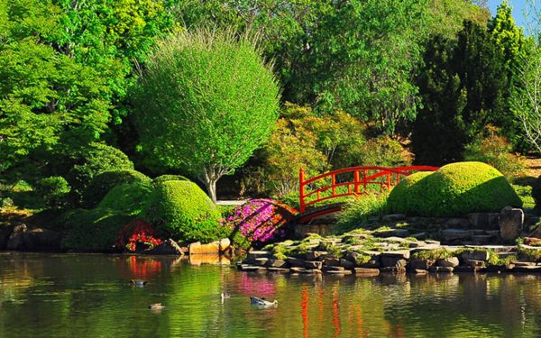 Icon Cancer Centre in Toowoomba